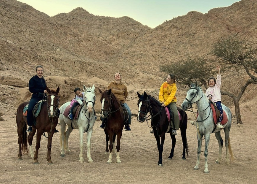 Blue Lotus Dahab Children Horses